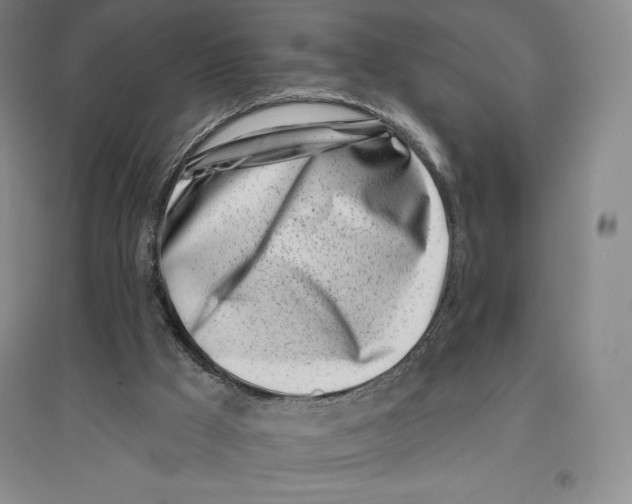 X0000096450009200802211245