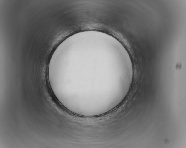 X0000096450010200802211245