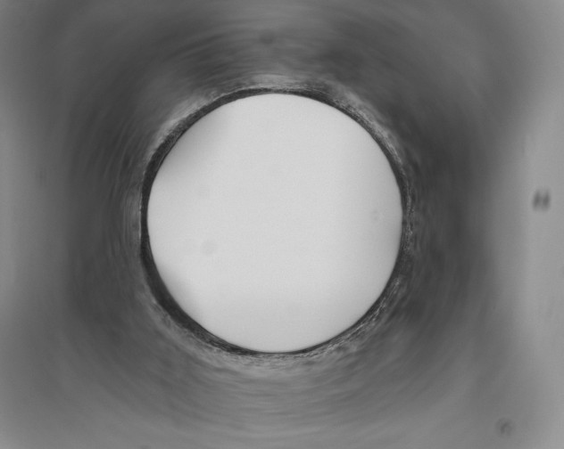 X0000096450011200802211245