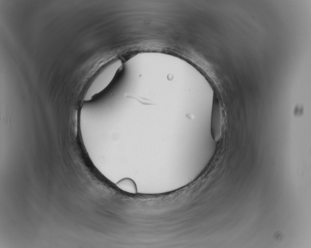 X0000096450013200802211245