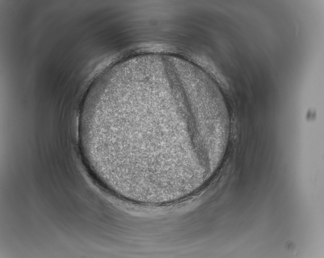 X0000096450014200802211245