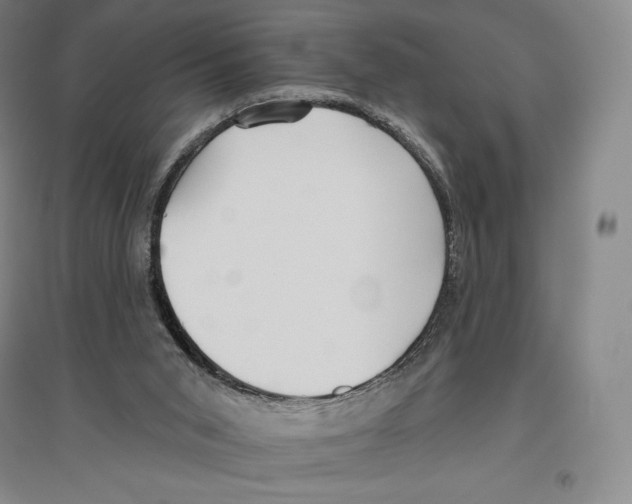 X0000096450015200802211245