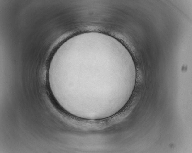 X0000096450016200802211245