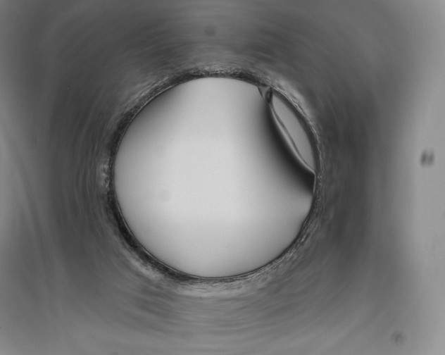 X0000096450017200802211245