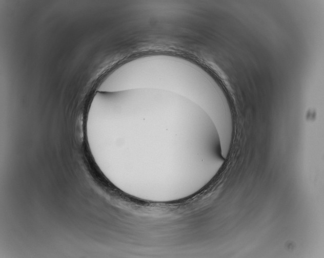 X0000096450020200802211244