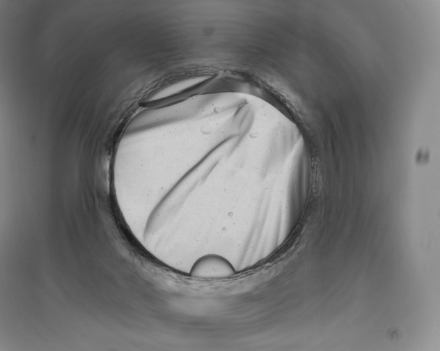 X0000096450022200802211244