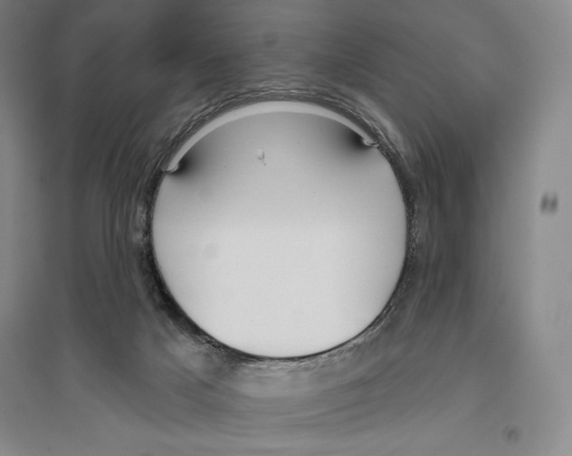 X0000096450025200802211244