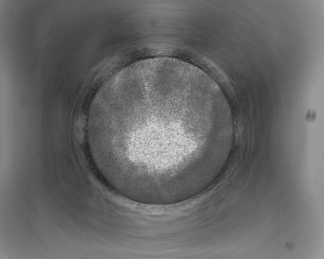 X0000096450026200802211244