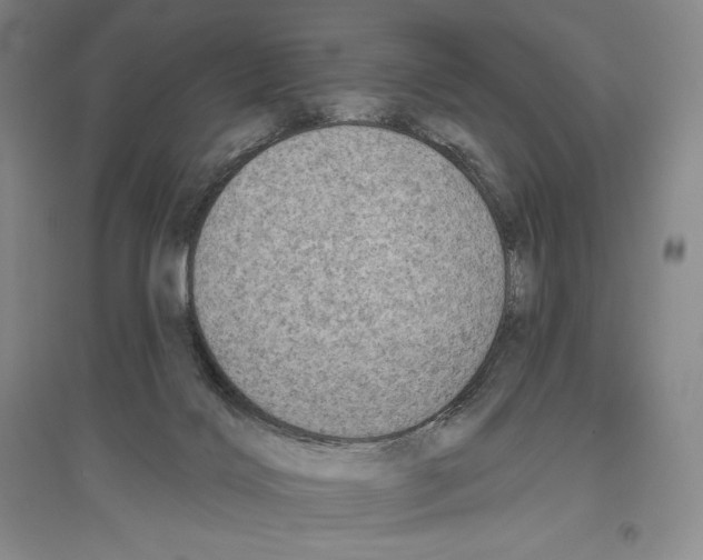 X0000096450028200802211244