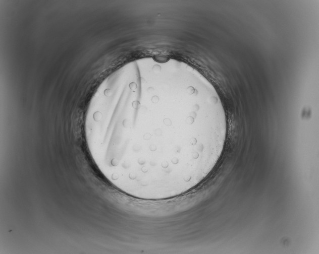 X0000096450030200802211244