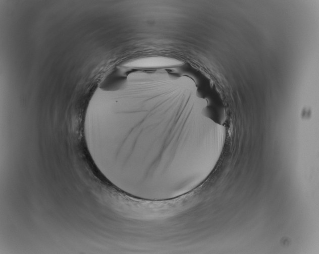 X0000096450031200802211244