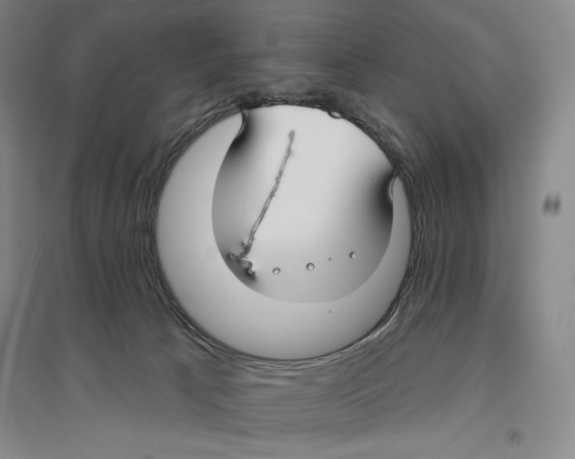 X0000096450033200802211244