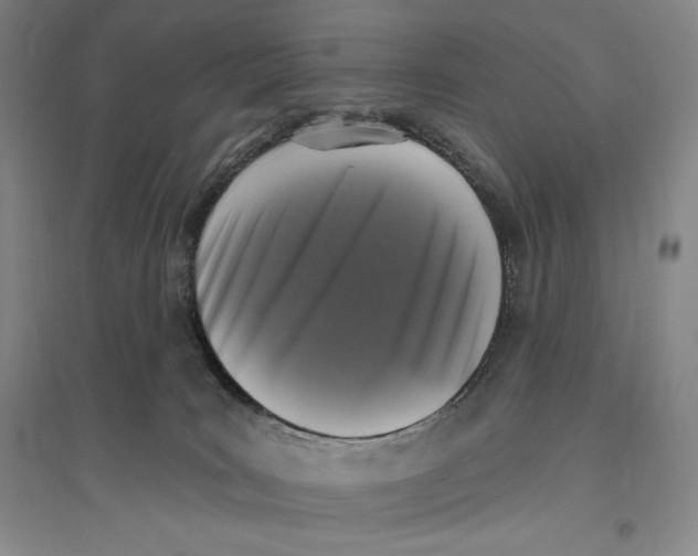 X0000096450035200802211244