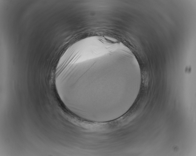 X0000096450036200802211244