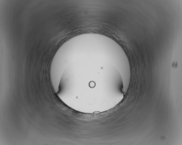 X0000096450037200802211244