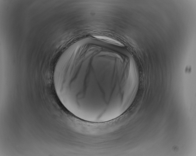 X0000096450039200802211244