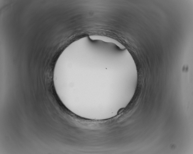 X0000096450040200802211244