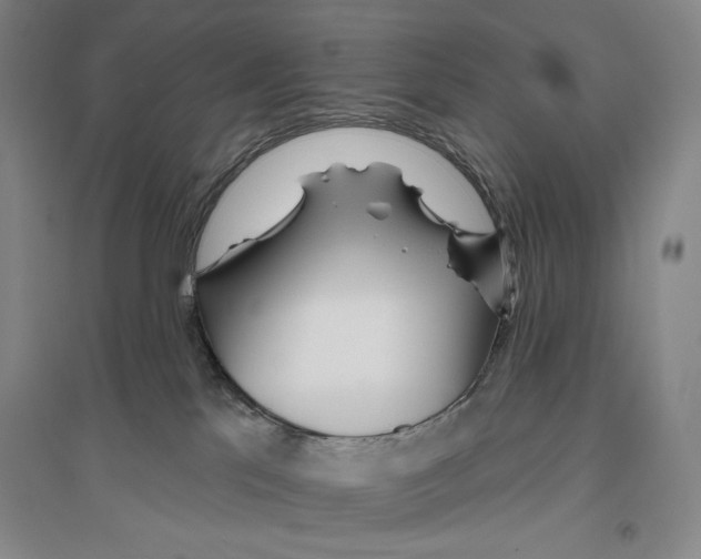 X0000096450041200802211244