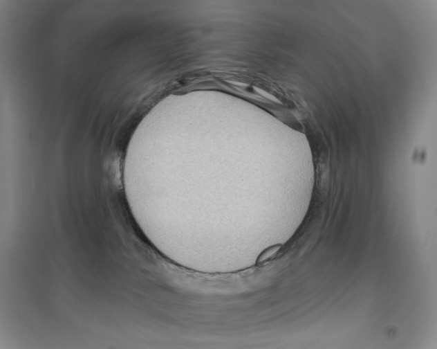 X0000096450042200802211244