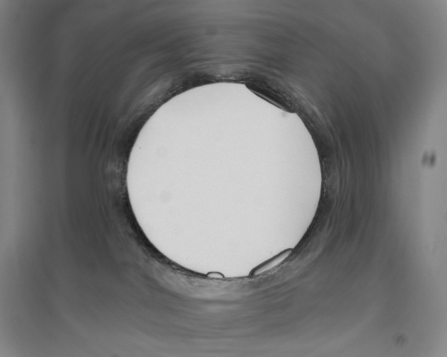 X0000096450044200802211244