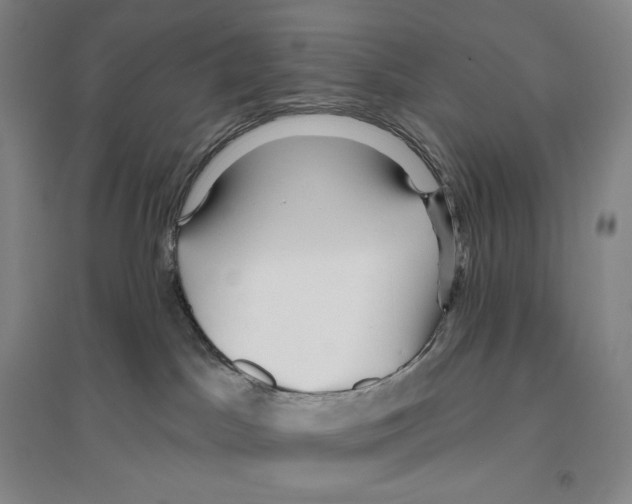 X0000096450045200802211244