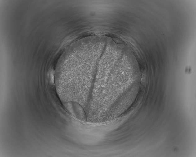 X0000096450046200802211244