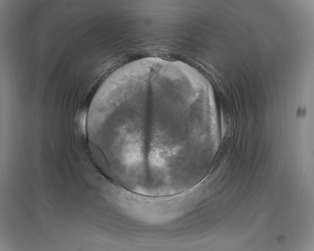 X0000096450047200802211244