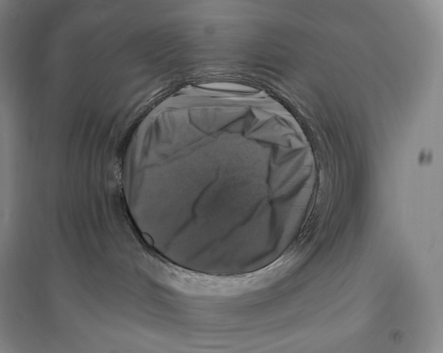 X0000096450048200802211244