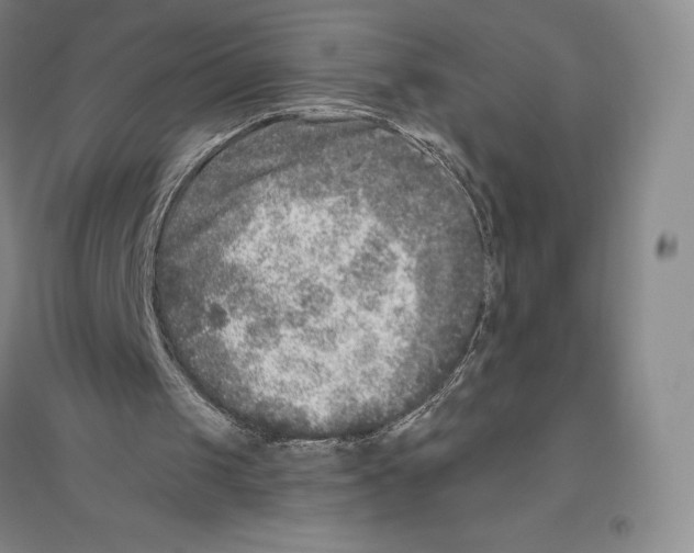 X0000096450049200802211243