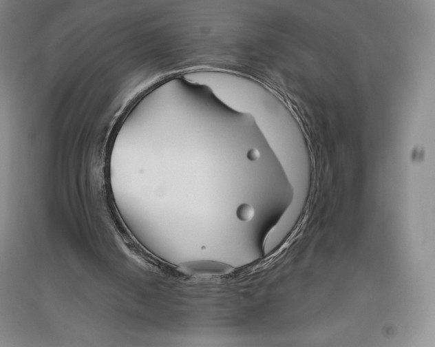 X0000096450050200802211243