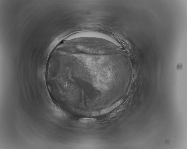 X0000096450051200802211243