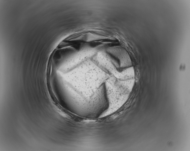 X0000096450052200802211243