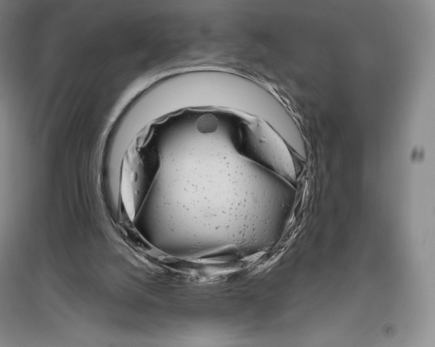 X0000096450056200802211243