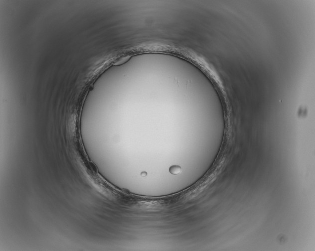 X0000096450057200802211243