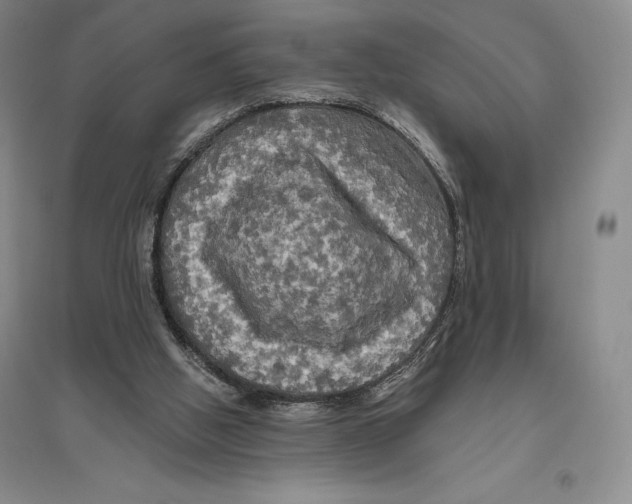 X0000096450058200802211243