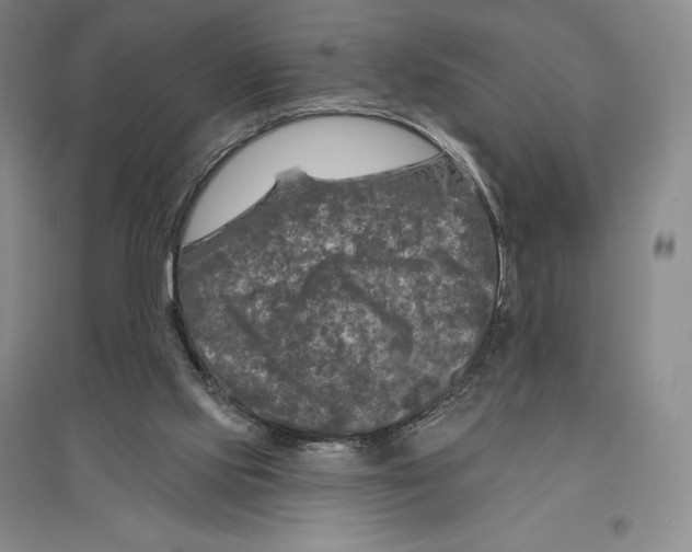 X0000096450061200802211244