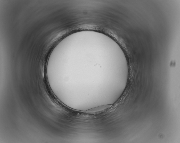 X0000096450062200802211244