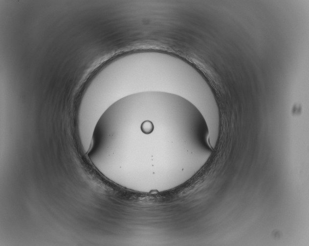 X0000096450064200802211244