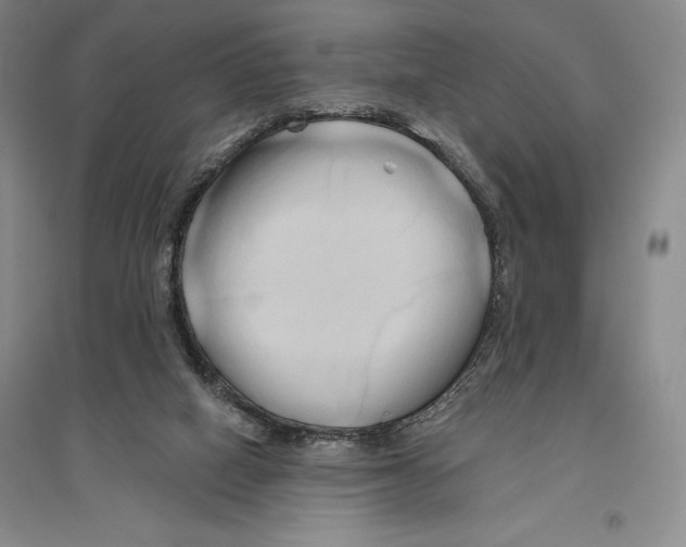 X0000096450066200802211244