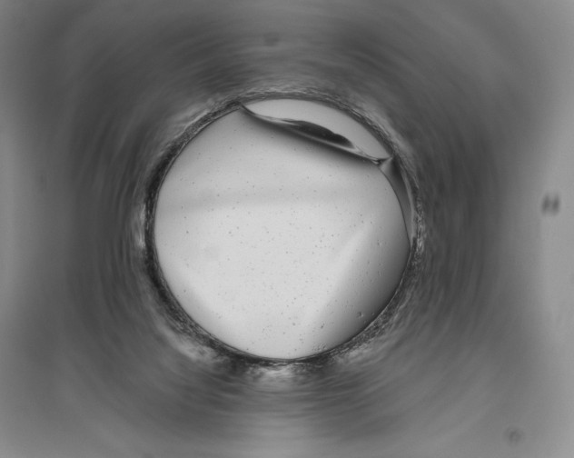 X0000096450068200802211244