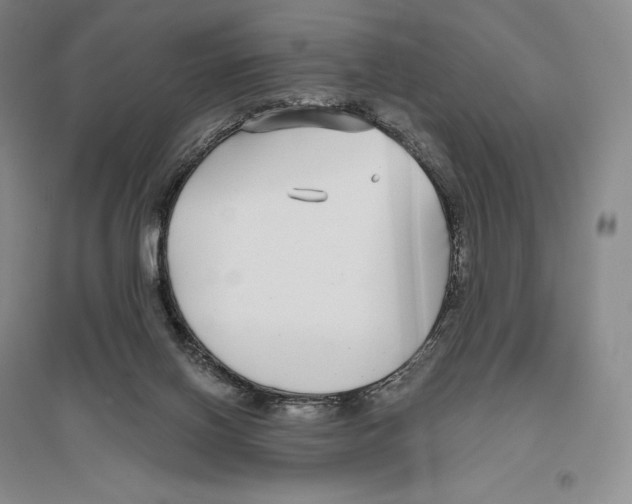 X0000096450070200802211244