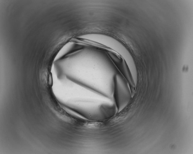 X0000096450072200802211244