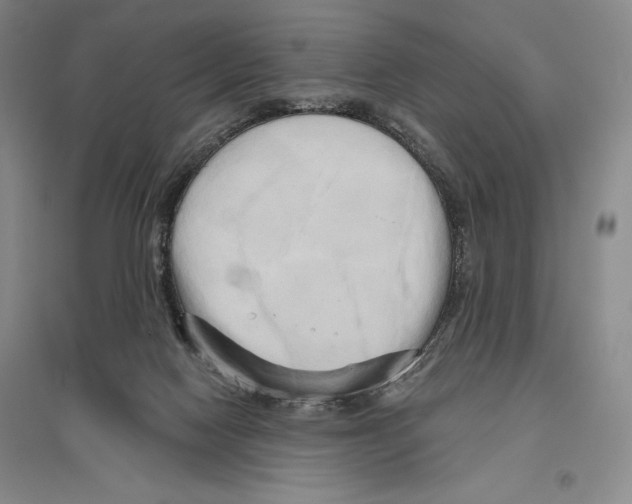 X0000096450074200802211244