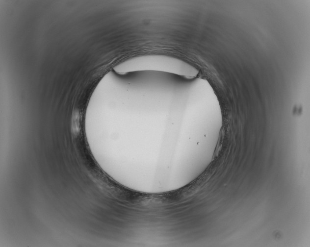 X0000096450075200802211244