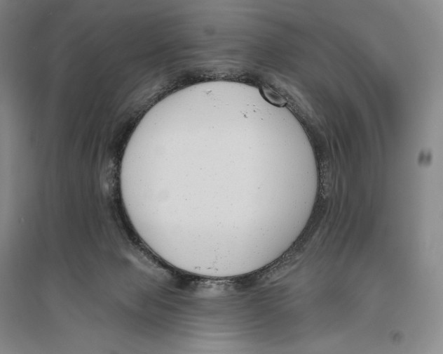 X0000096450077200802211244