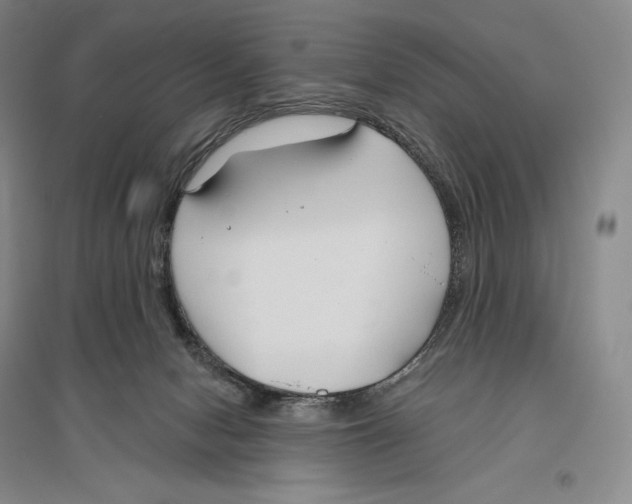 X0000096450078200802211244