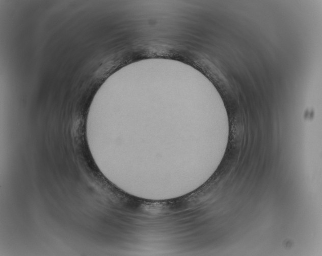 X0000096450079200802211244