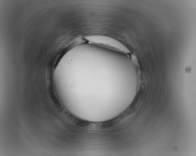 X0000096450080200802211244