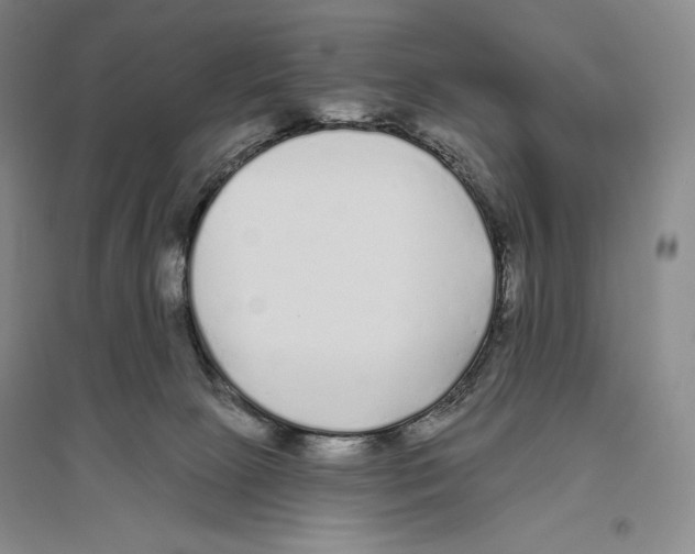 X0000096450081200802211244