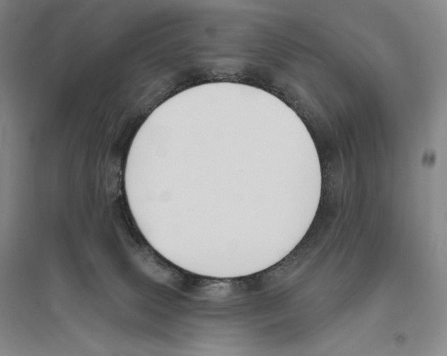 X0000096450083200802211244